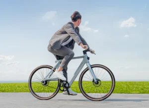 Welche E-Bike-Marken erfüllen die StVZO-Normen in Deutschland?